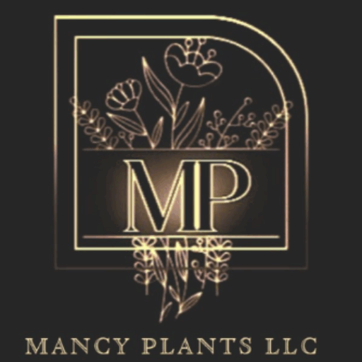 Mancy Plants 